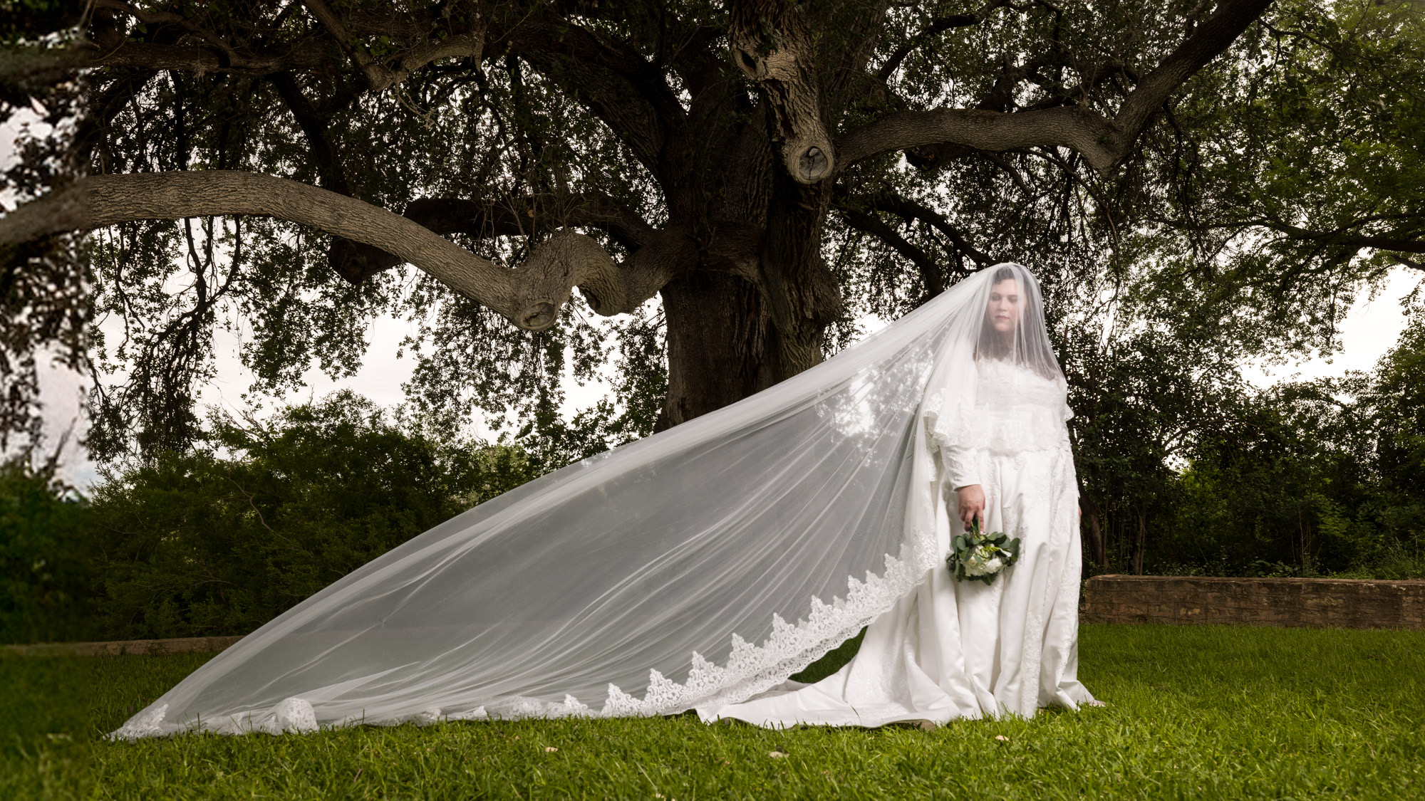 Bride under an oak tree, Austin wedding photography by Nydam Photography